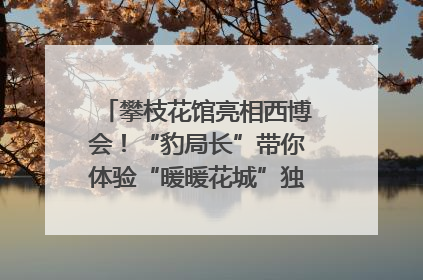 攀枝花馆亮相西博会！“豹局长”带你体验“暖暖花城”独特魅力｜西博视界